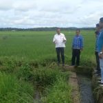 Kegiatan Masyarakat Menjadi Perhatian Di Tengah Perubahan