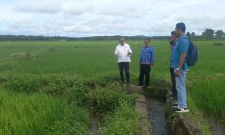 Kegiatan Masyarakat Menjadi Perhatian Di Tengah Perubahan